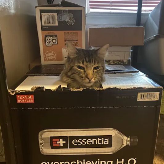 Dallas Cardiac Associates: James D Boehrer, MD and Robert Liao, MD