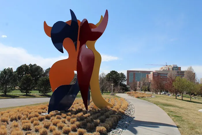 Heart Institute at Children's Hospital Colorado 0