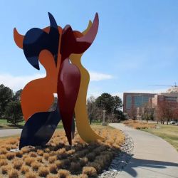 Heart Institute at Children's Hospital Colorado ico