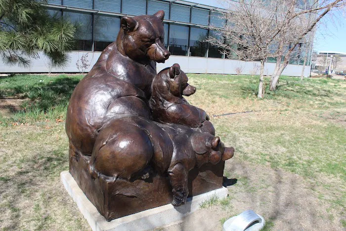 Heart Institute at Children's Hospital Colorado 9