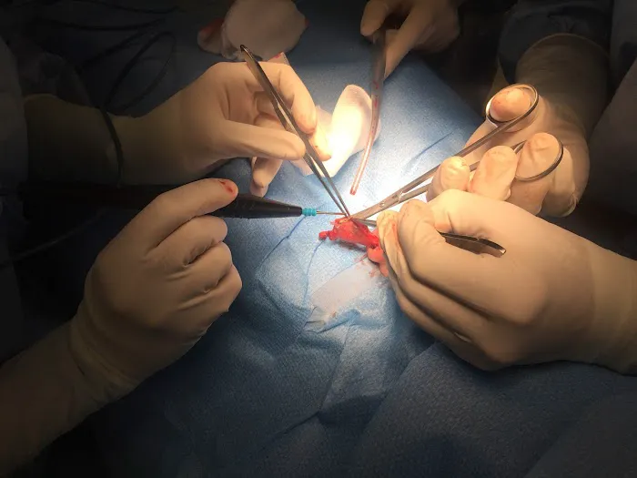 Ira H. Lieber, M.D., F.A.C.C 4