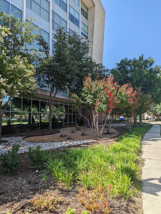 Baylor Scott & White Medical Center - Plano 6