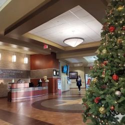 Baylor Scott & White Medical Center - Sunnyvale ico