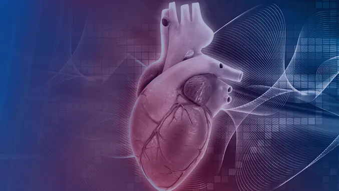 EXCEL CARDIAC CARE 4