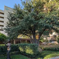 Texas Health Harris Heart Center