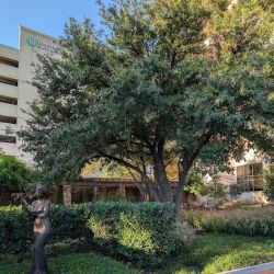 Texas Health Harris Heart Center ico