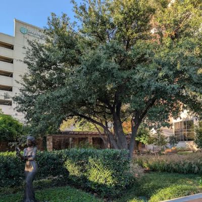 Texas Health Harris Heart Center