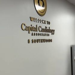 Lance Sullenberger ico