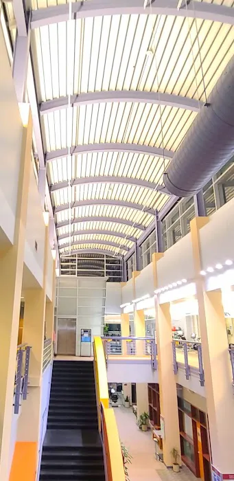 UNC Hospitals Vascular Services at Meadowmont (Vascular) 4