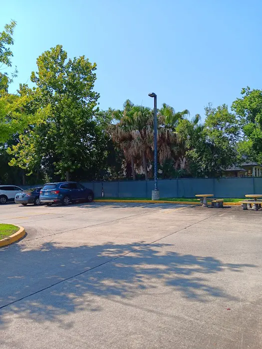 CIS: Cardiovascular Institute of the South 1