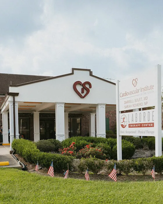 Cardiovascular Institute of the South 2