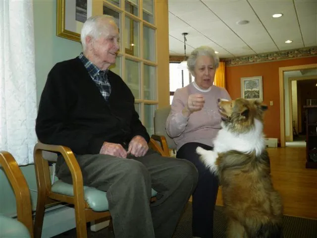 North River Home Care 6