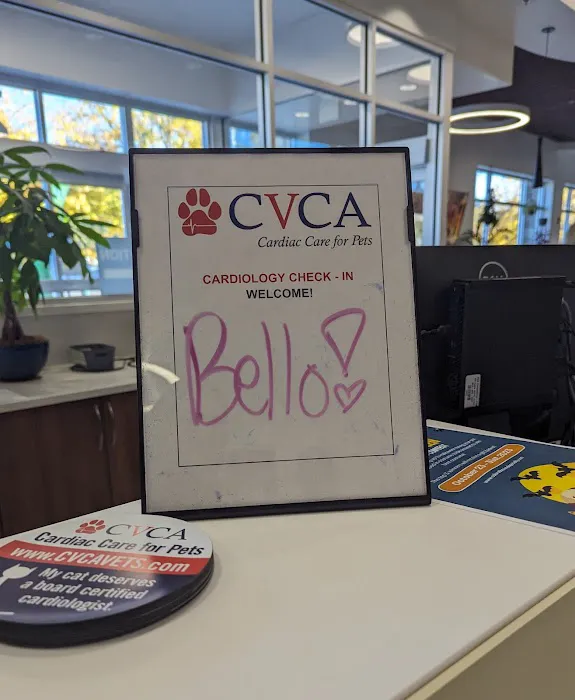 CVCA Boulder 4