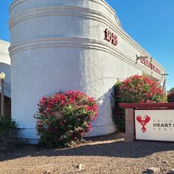 Arizona Heart Rhythm Center ico