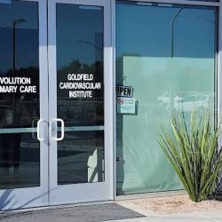 GOLDFIELD CARDIOVASCULAR INSTITUTE ico