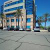 cardiovascular and arrhythmia institute