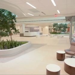 Heart and Vascular Institute of HCA Florida Osceola Hospital ico