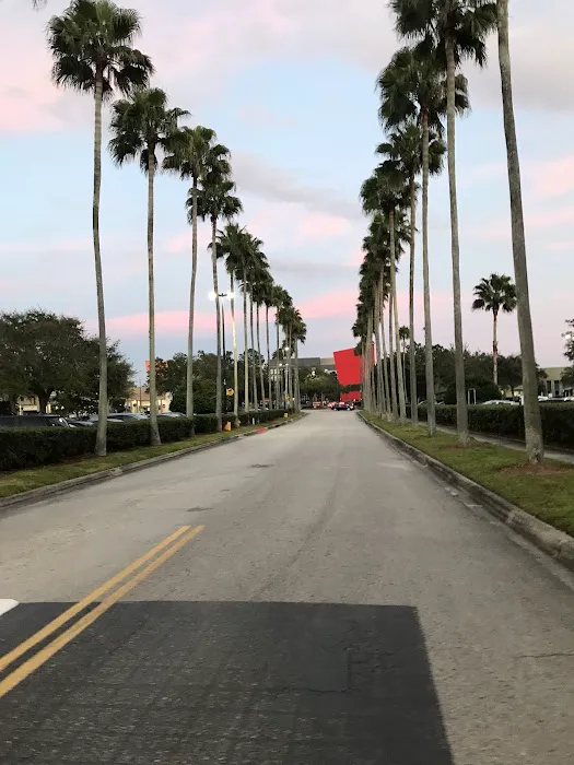 Orlando Health Heart & Vascular Institute - Ocoee 4