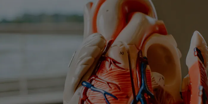 AdventHealth Medical Group Cardiovascular at Nightingale Lane 7