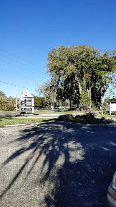 Florida Heart, Vein and Vascular Institute 0