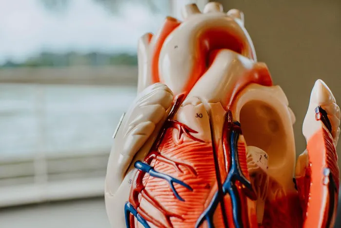 Cardiovascular Associates of Lake County 5