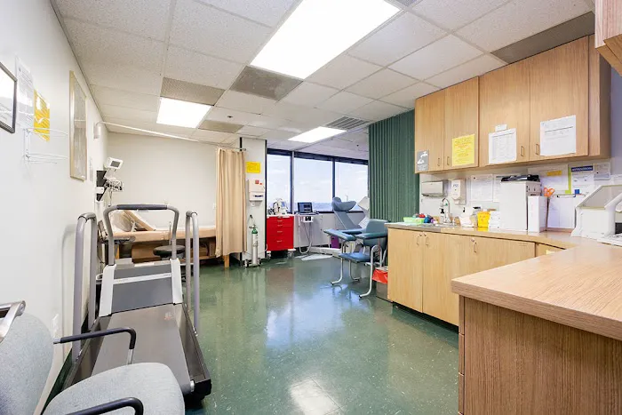Tampa Heart and Vascular Associates 4