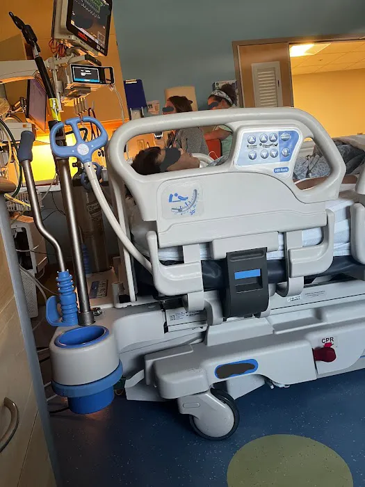 All Childrens Cardiology 0