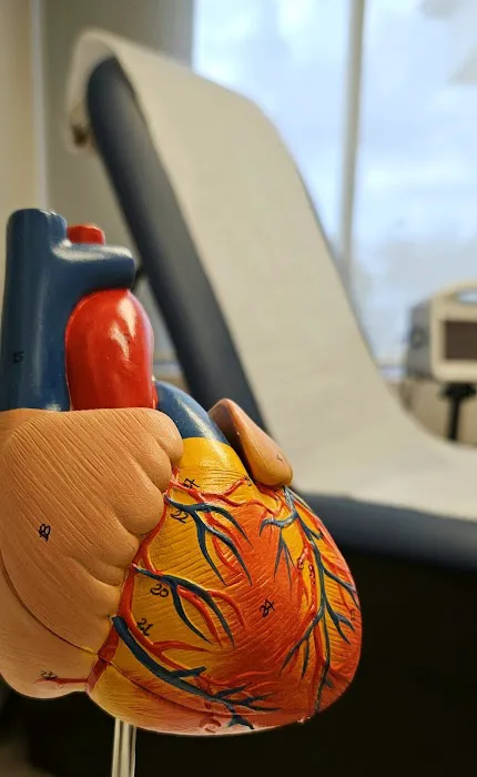 Anley Cardiovascular 6