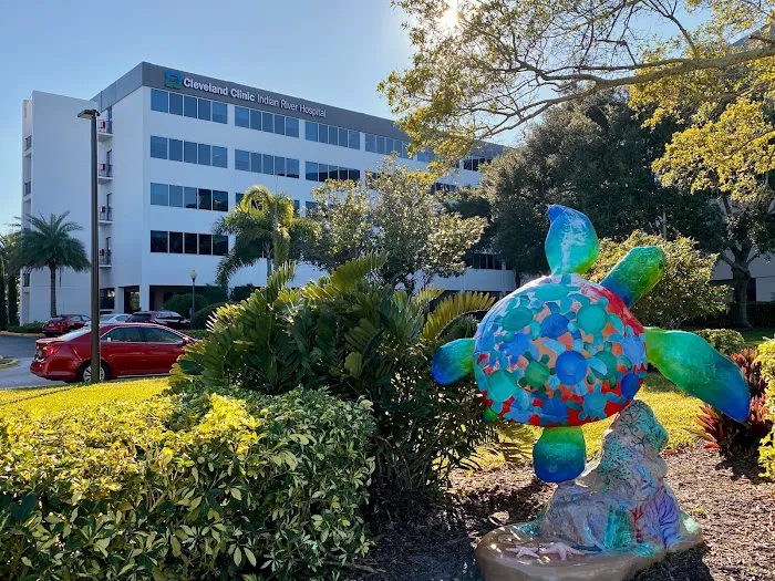 Cleveland Clinic Indian River Hospital 0
