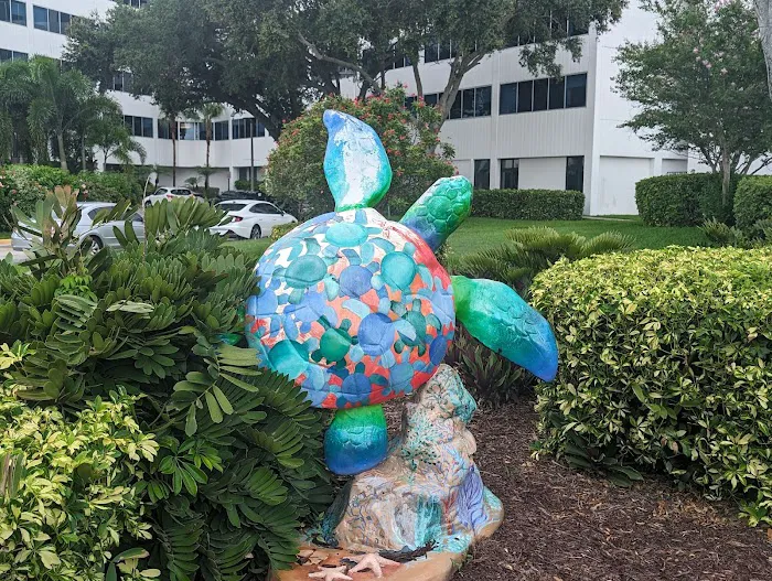 Cleveland Clinic Indian River Hospital 8