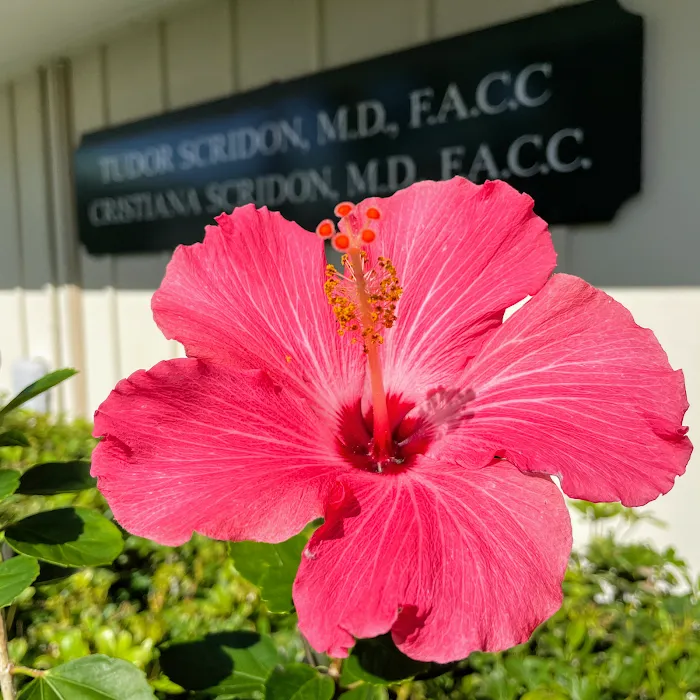 Tudor Scridon, M.D. 9