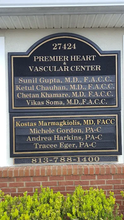 Ketul Chauhan, MD, FACC 0