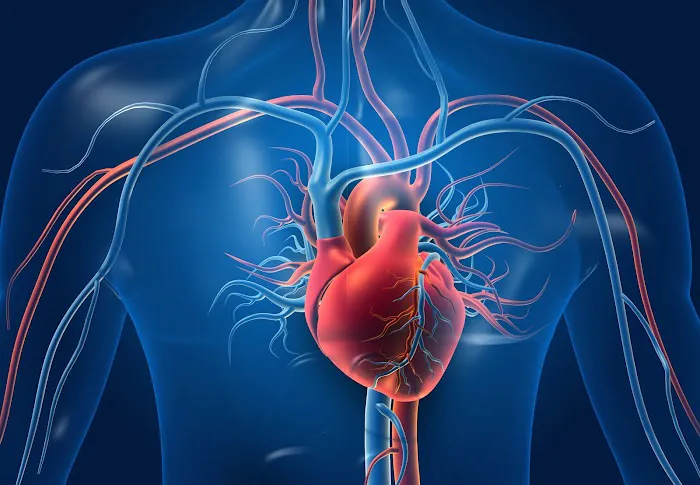 IVY Cardiovascular & Vein Center 4