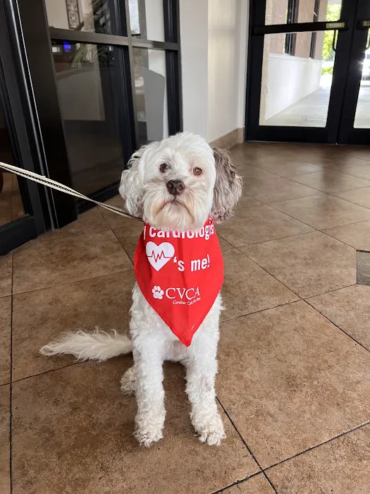 CVCA Cardiac Care for Pets - West Palm Beach 6
