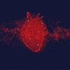 advanced cardiovascular consultants
