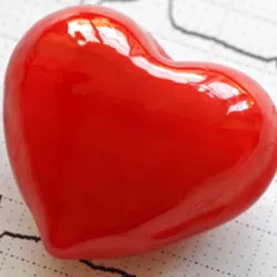 The Cardiac Institute of the Palm Beaches 1