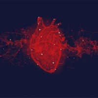 Advanced Cardiovascular Consultants