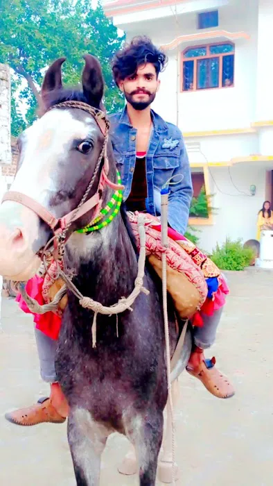 Rahul P Sharma, MBBS, FRACP 1