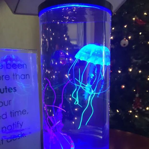 Palo Alto - 87 Encina Building