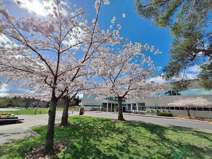 Virginia Mason Franciscan Health Medical Pavilion - Federal Way 6