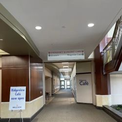 Allina Health Minneapolis Heart Institute at Ridgeview Heart Center – Chaska ico