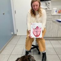 CVCA Cardiac Care for Pets