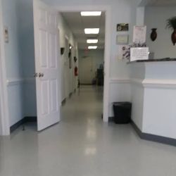 WakeMed Heart & Vascular – Cary Cardiology ico