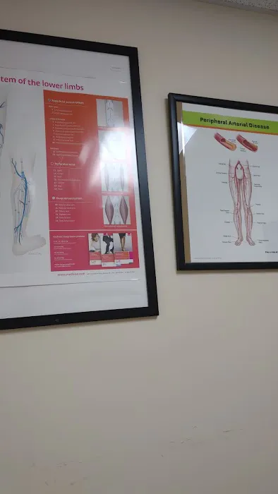 Carolina Heart & Leg Center 0