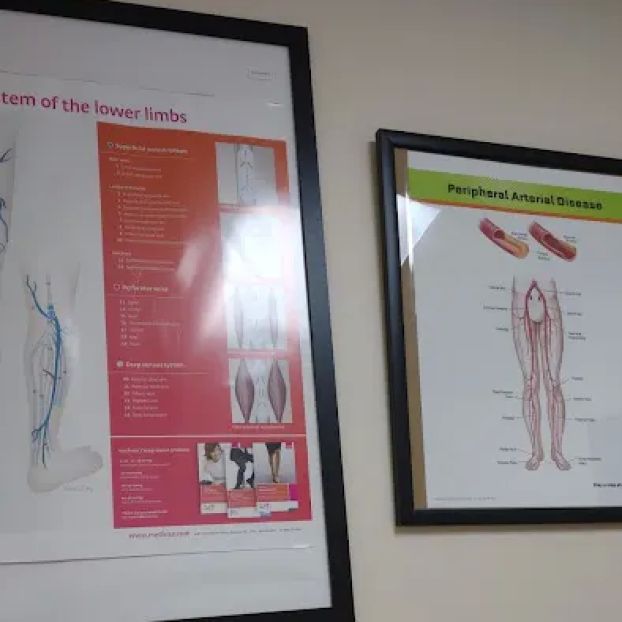 Carolina Heart & Leg Center