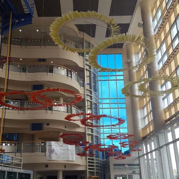 Pediatric Cardiology