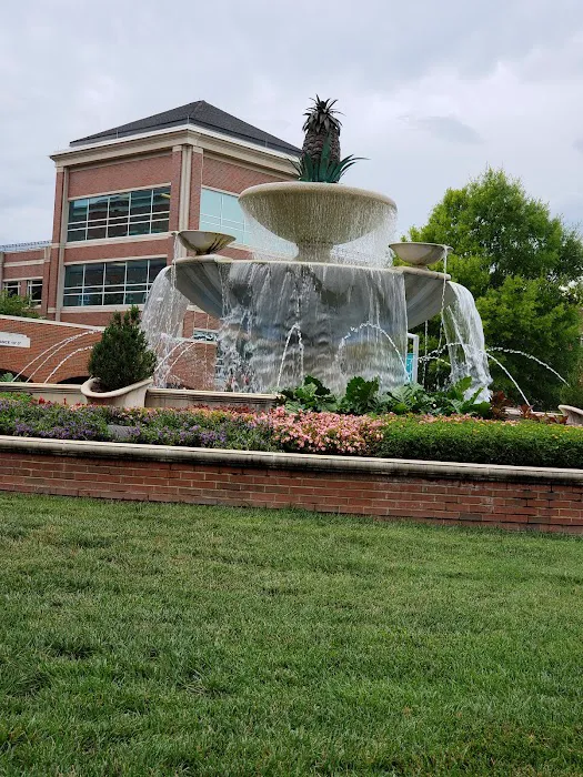 Atrium Health Cabarrus 4
