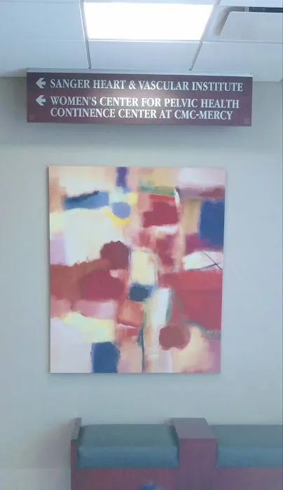 Atrium Health Sanger Heart & Vascular Institute 3