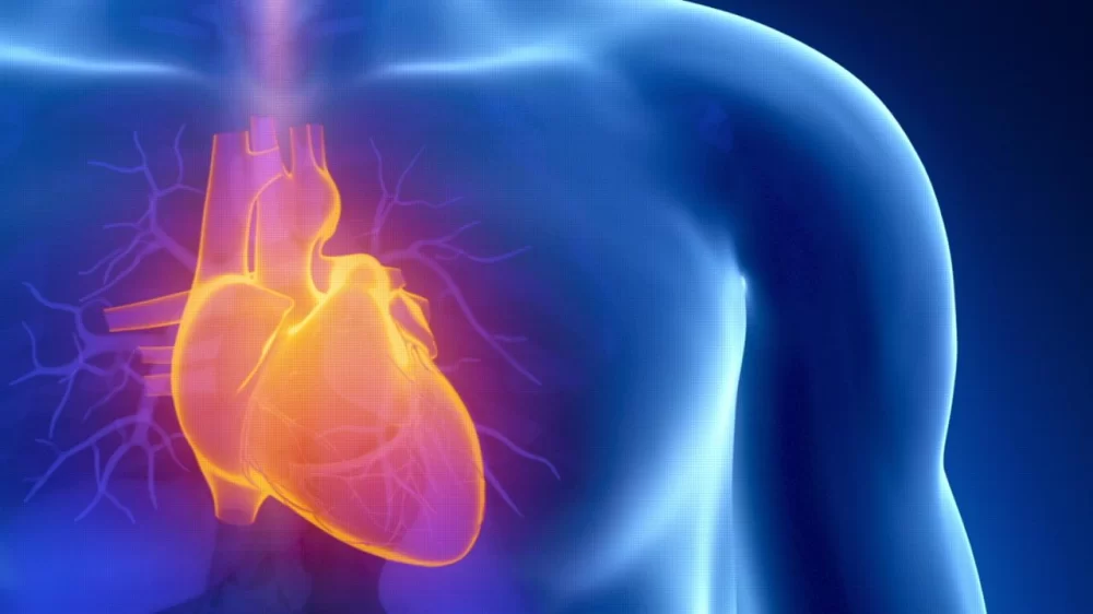 Exploring the Link Between Heart Disease and Sleep Apnea for Better Heart Health