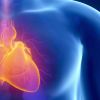Exploring the Link Between Heart Disease and Sleep Apnea for Better Heart Health